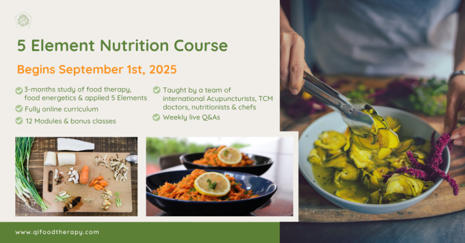5 Element Nutrition course ad 002